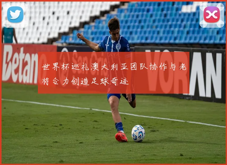 世界杯巡礼澳大利亚团队协作与老将合力创造足球奇迹