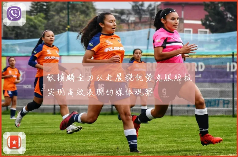 张镇麟全力以赴展现优势克服短板实现高效表现的媒体观察